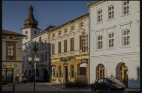 Hotel Přerov, Frenstat Pod Radhostem